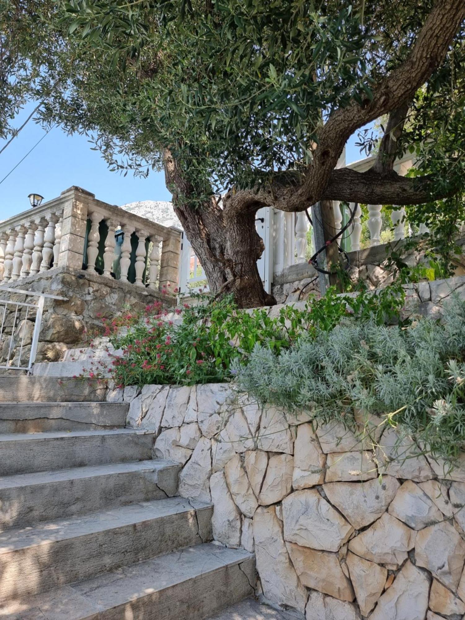 זיווגוסצה Apartmani Anda מראה חיצוני תמונה