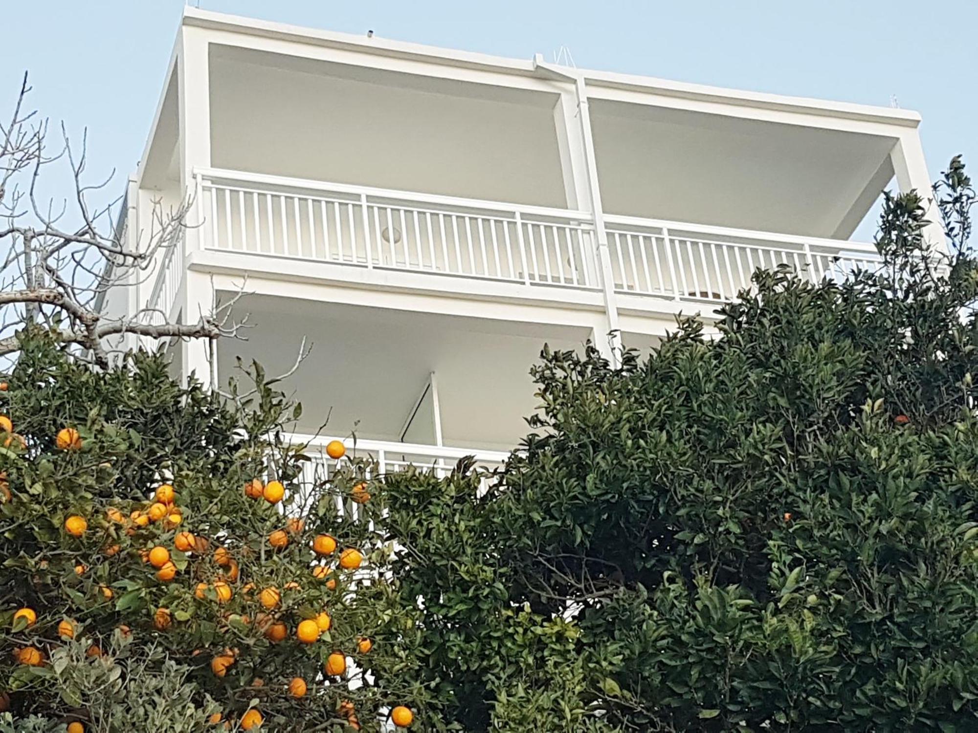 זיווגוסצה Apartmani Anda מראה חיצוני תמונה